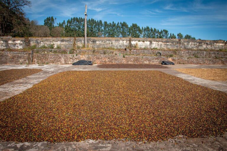 Café | Fazenda Tulha