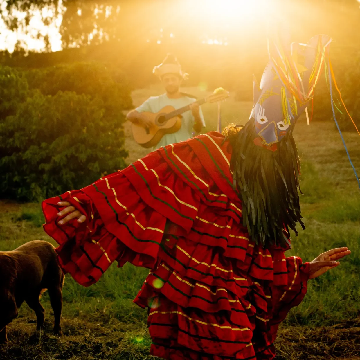 Café | Fazenda Tulha