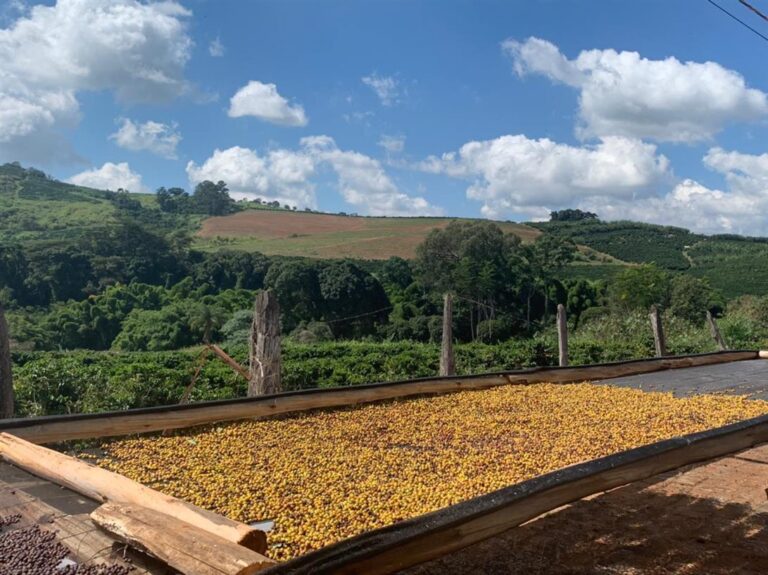 Café | Fazenda Tulha