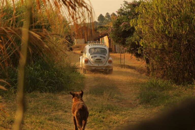 Colônia | Fazenda Tulha
