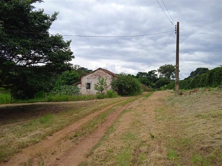 Colônia | Fazenda Tulha