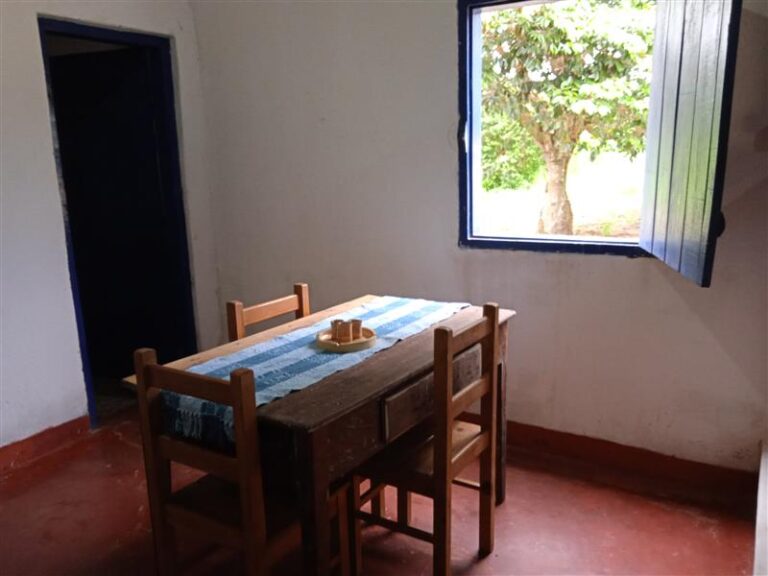 Colônia | Fazenda Tulha