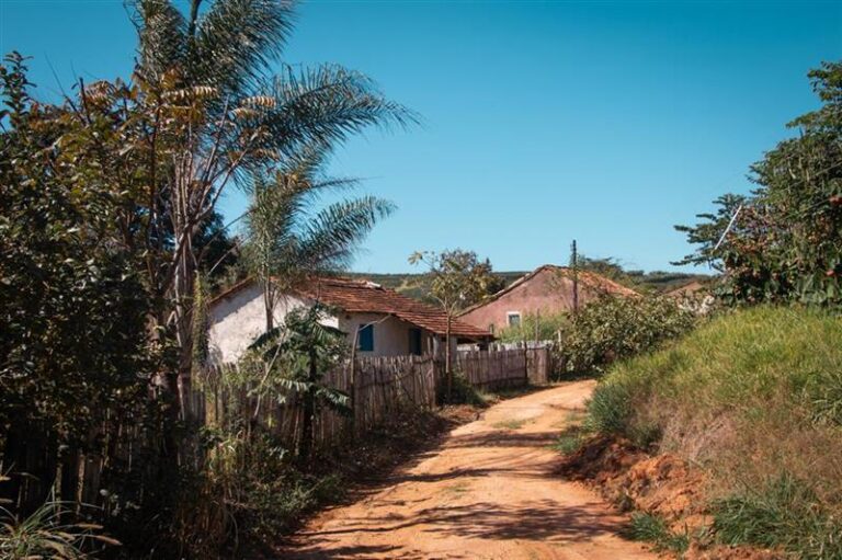 Colônia | Fazenda Tulha