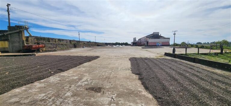 Terreirão, Secador e Tulhas