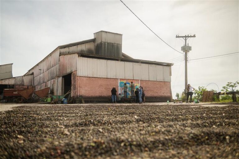 Terreirão, Secador e Tulhas