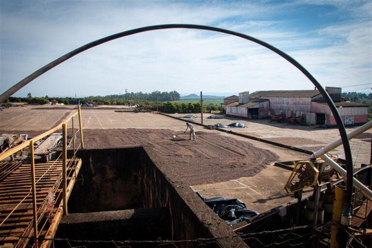 Terreirão, Secador e Tulhas