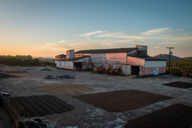 Terreirão, Secador e Tulhas