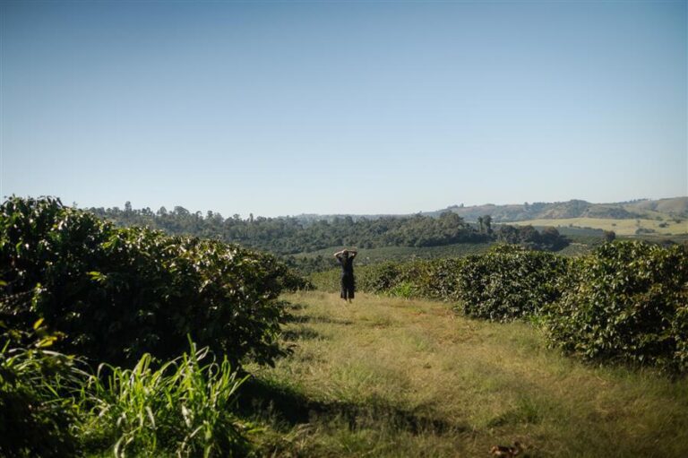 Trilha histórica nos cafezais | Fazenda Tulha