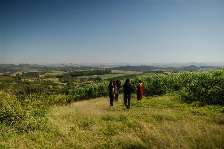 Trilha histórica nos cafezais | Fazenda Tulha